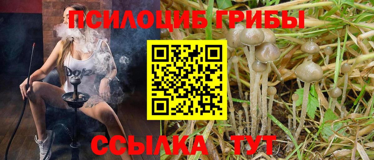 Галлюциногенные грибы Cubensis Дзержинский