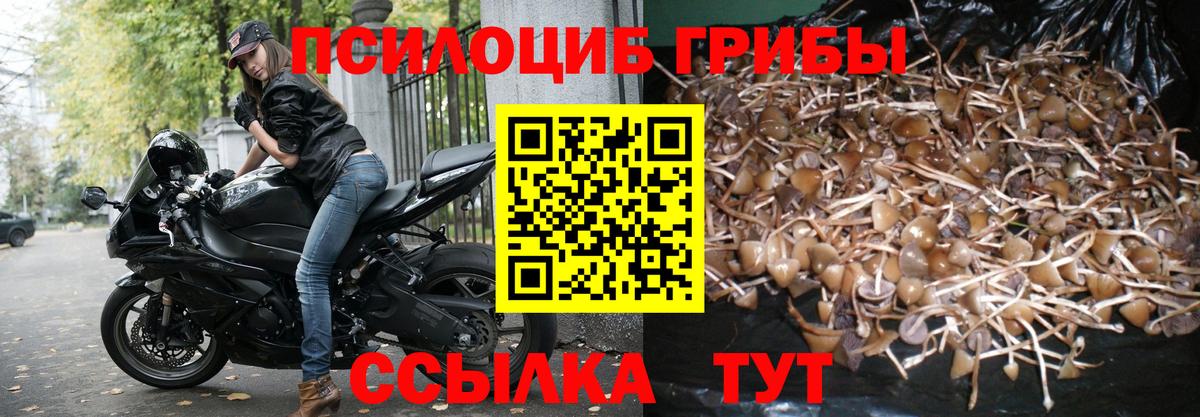 Псилоцибиновые грибы Psilocybe  Вход с VPN  Дзержинский 